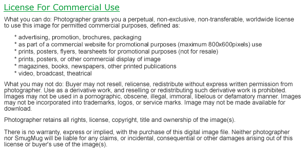 Commercial Use License