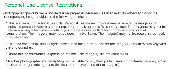 Personal Use License